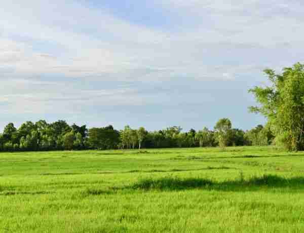 land for sale glidden wi