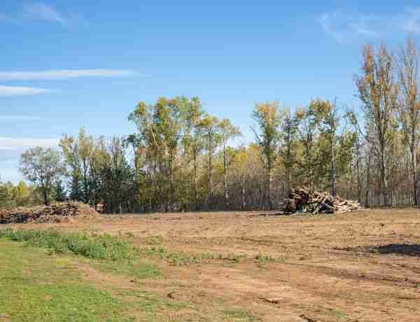 land for sale herbster wi