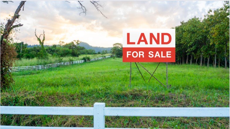 What to Look for When Buying Land: Essential Factors to Consider