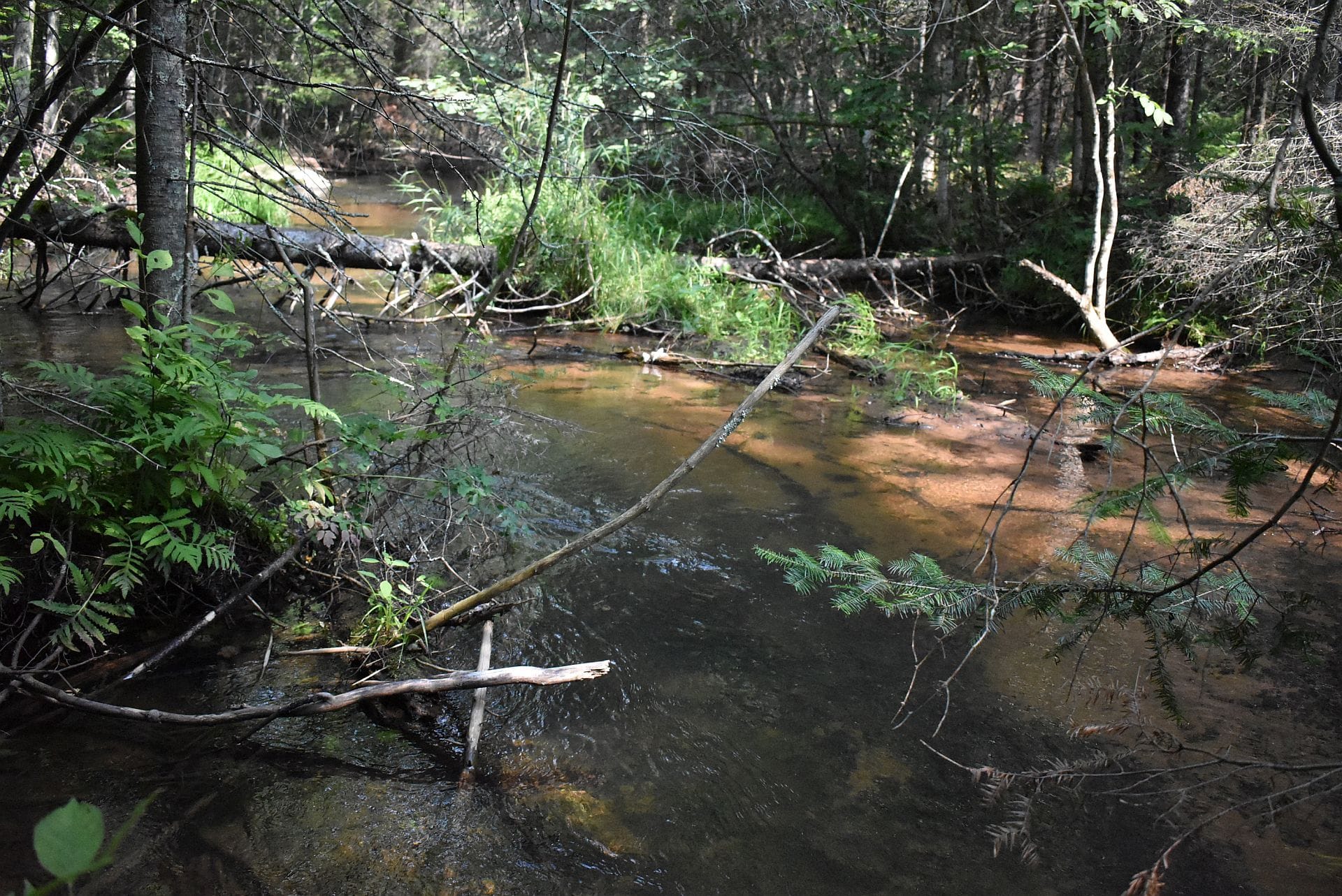 Northwoods stream — Douglas County WI real estate