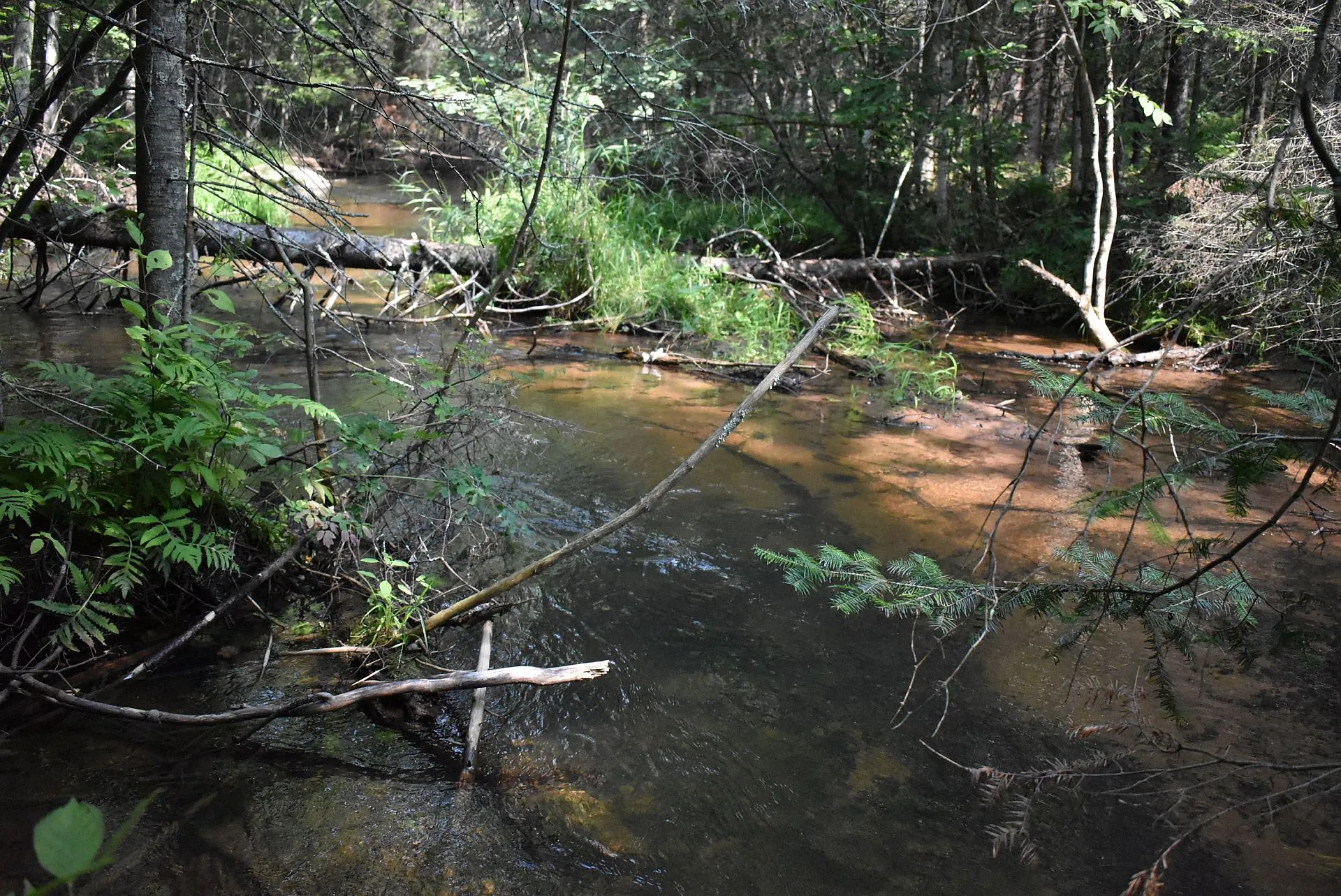 Northwoods stream — Douglas County WI real estate