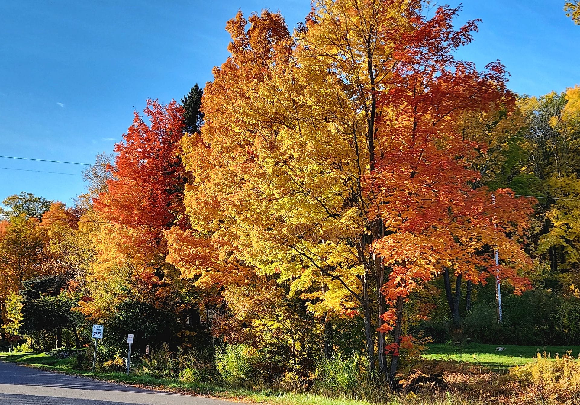 Superior Wisconsin fall colors — City of Superior WI homes for sale