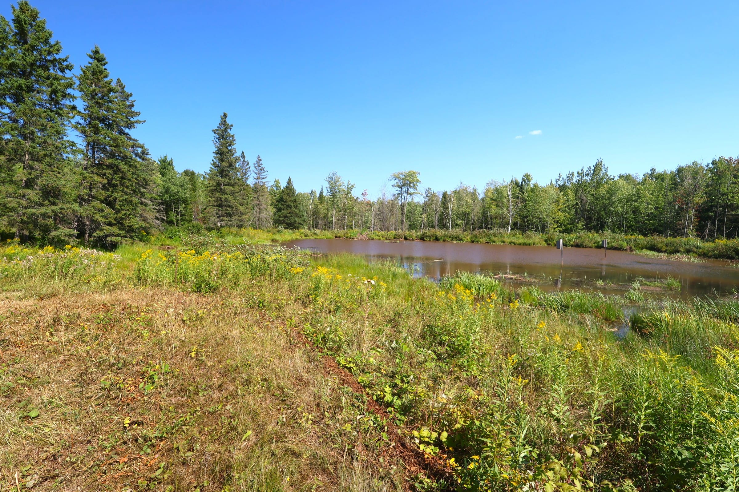 Private pond at 33XXX Old County Hwy K, Bayfield WI, with accessible grassy shoreline and a pine and birch treeline behind it.