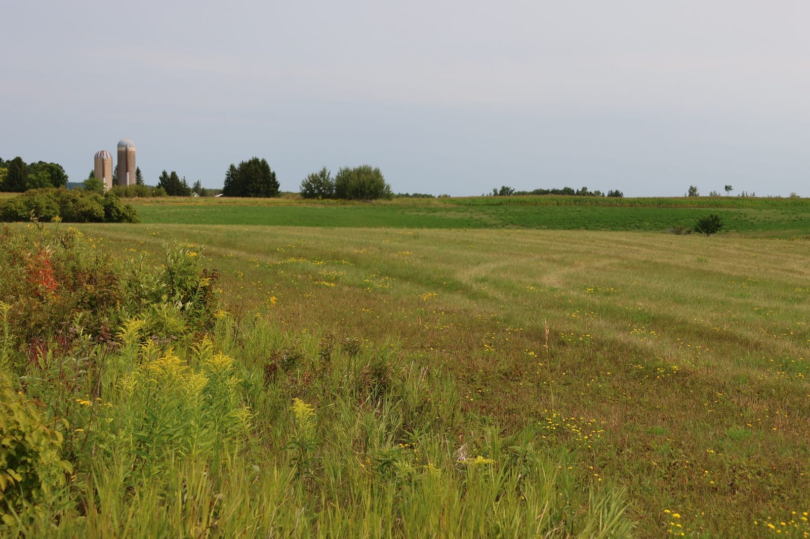 Open hay ground at 64XXX Pezderic Rd in Mason, WI, looking across the parcel toward neighboring farm silos and a distant tree line under an open sky in the Town of Keystone.