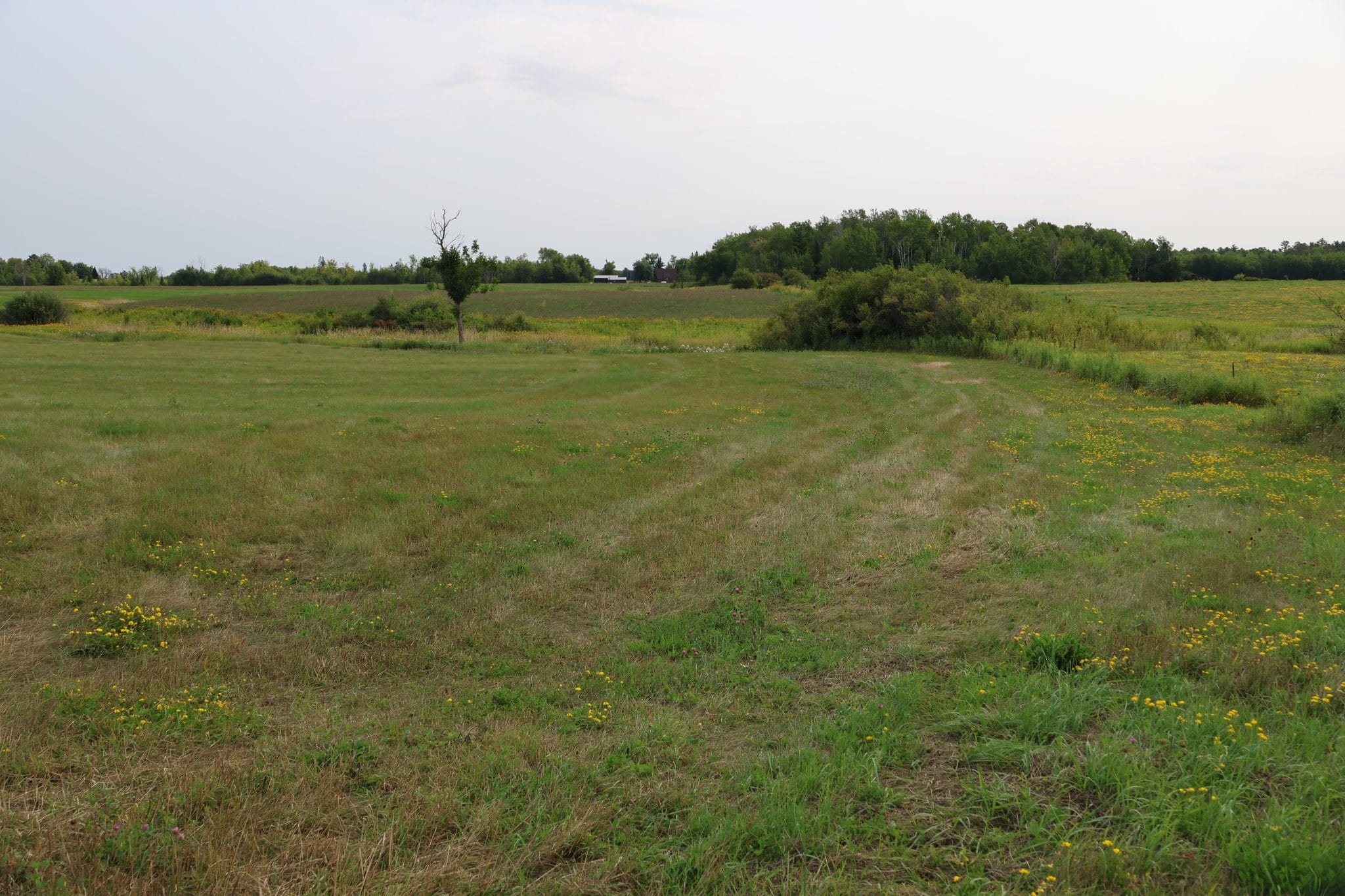 Level, open 4-acre parcel at 64XXX Pezderic Rd in Mason, WI, with panoramic country views across tillable ground toward a distant tree line in the Town of Keystone.